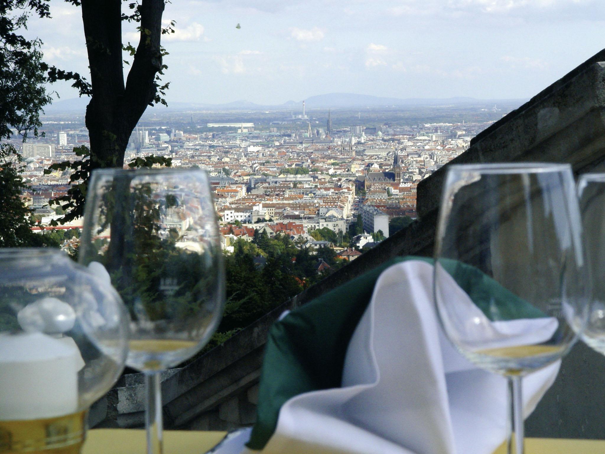 Austria Trend Schloss Wilhelminenberg 4* Vienne