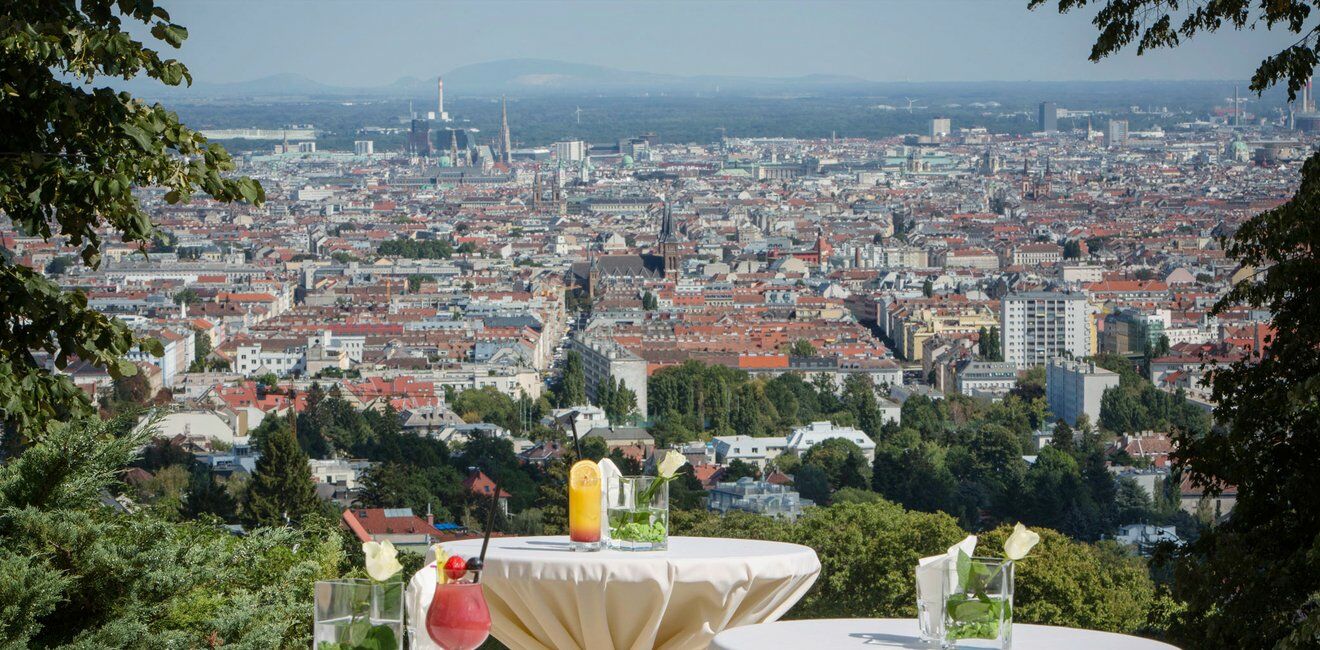 Austria Trend Schloss Wilhelminenberg 4* Vienne